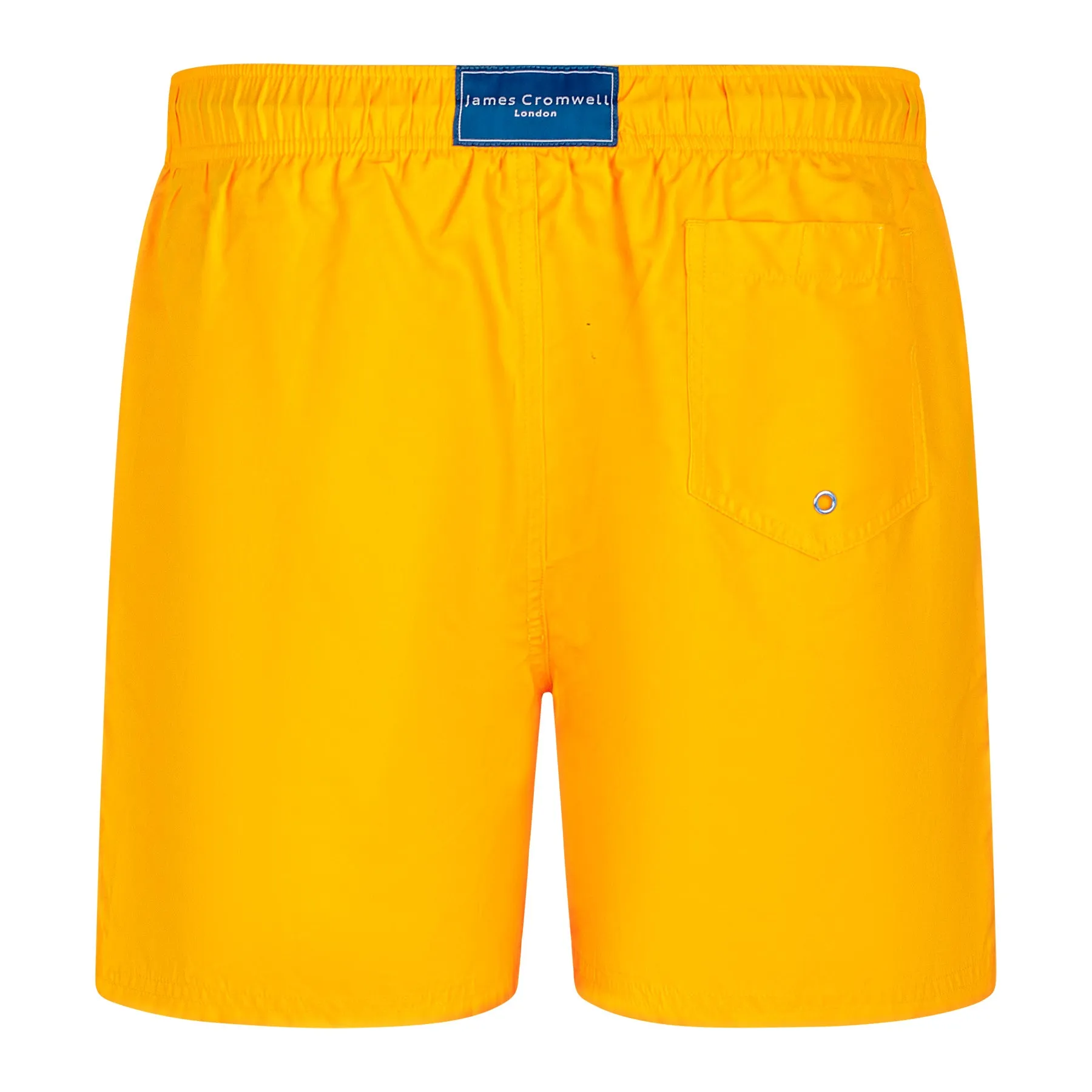 Apricot Classic
