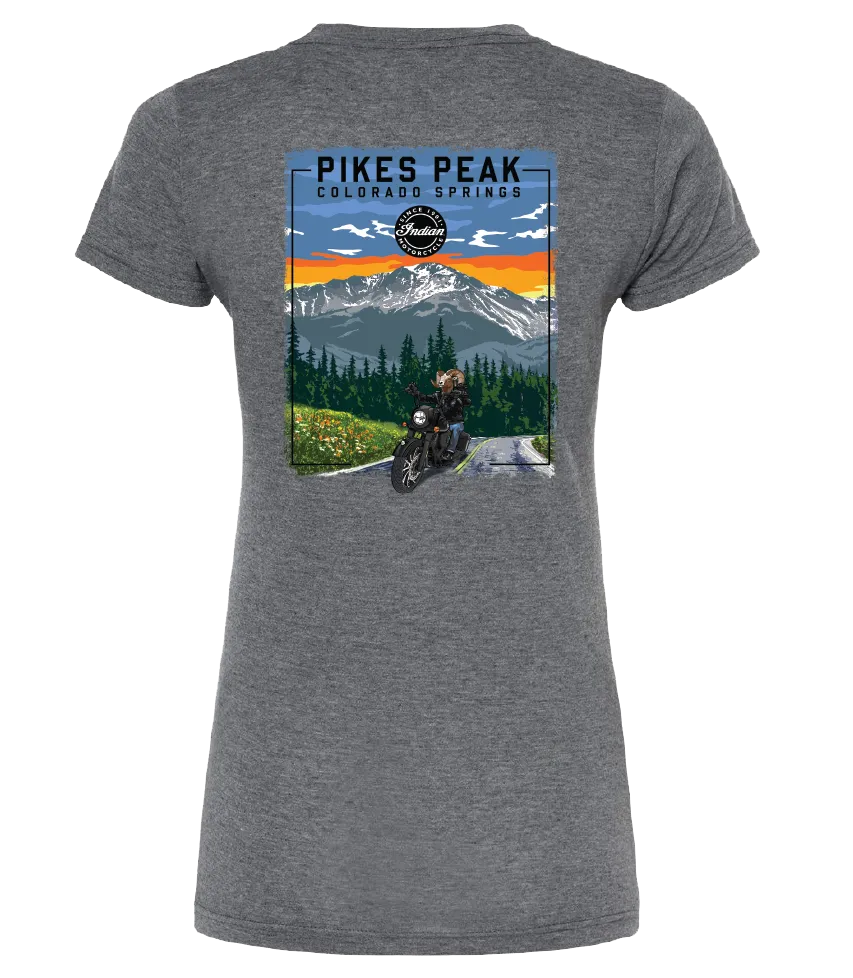 Ladies Vintage Bike - Gray