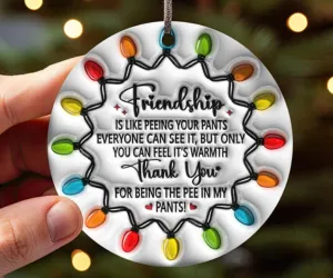 [Pre Christmas Sale] - Friendship Ornament