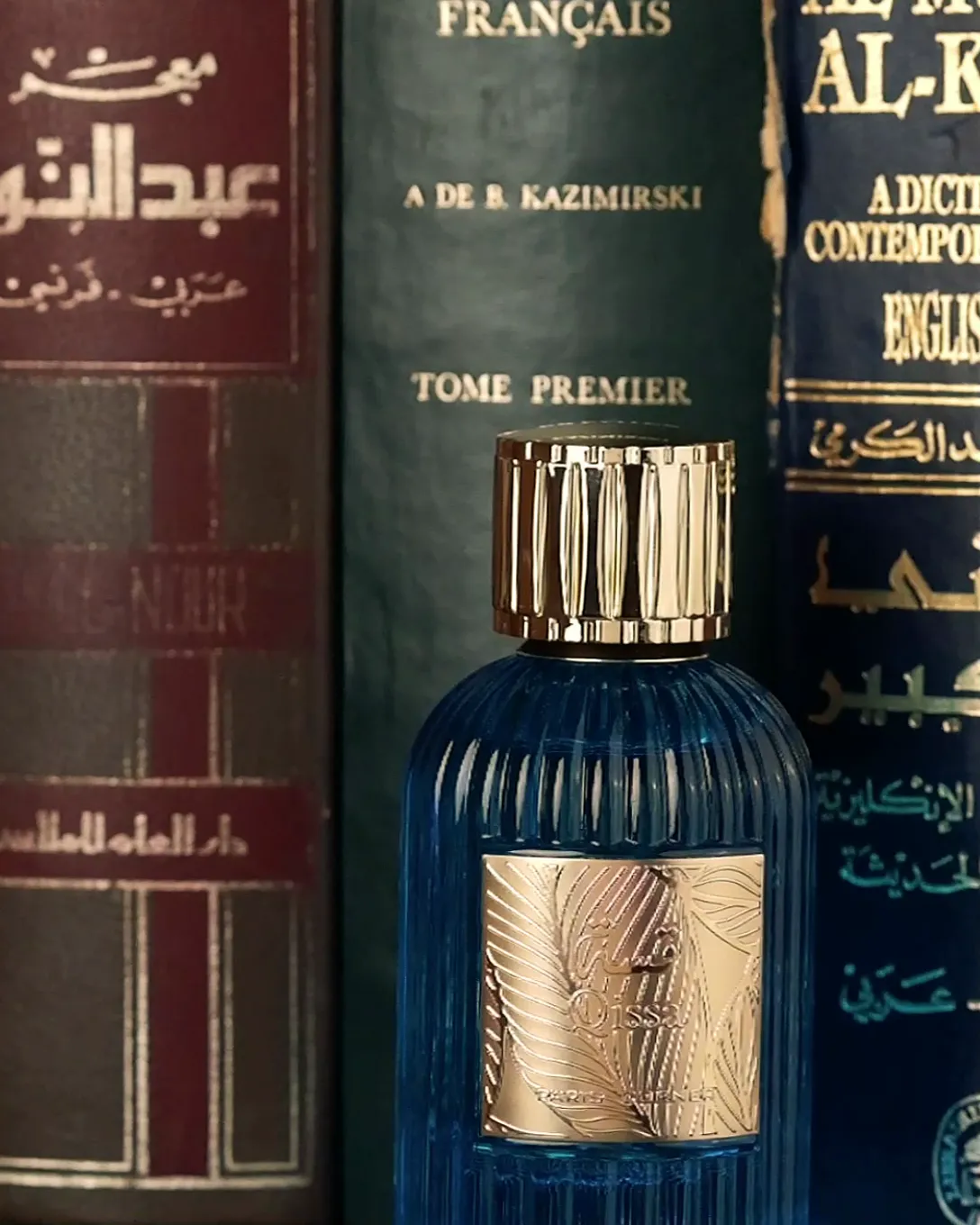 QISSA EDP
