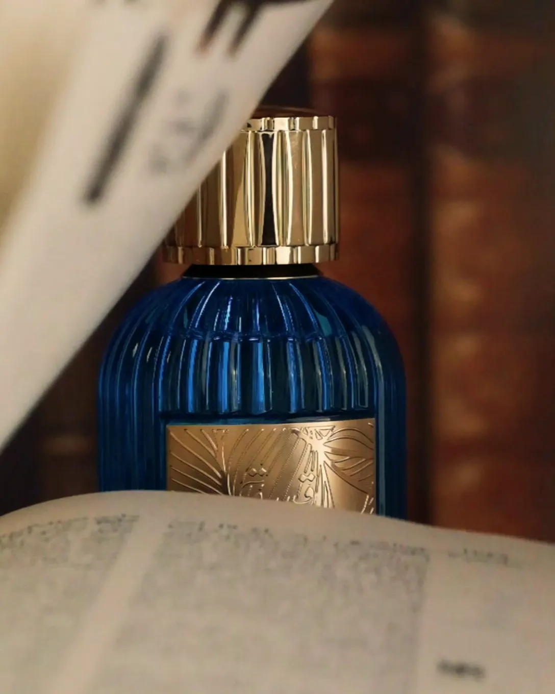 QISSA EDP
