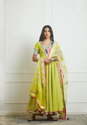 Raji Ramniq Mehezebeen Collection Lime Printed Anarkali Dupatta Mb-105