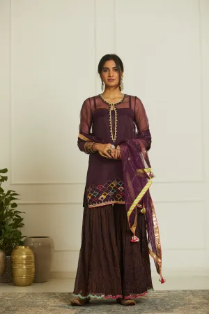 Raji Ramniq Mehezebeen Collection Purple Organza Payala Gharara Kurta Mb-102